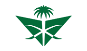 Saudi Arabian Airlines